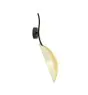 Emibig Wandlamp Lotus Staal Zwart | Geschikt voor 1x E14 - Max 10W